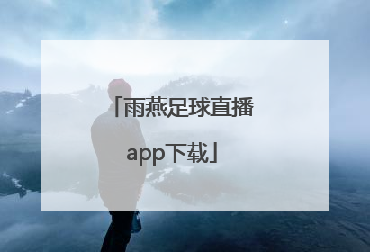 「雨燕足球直播app下载」雨燕足球APP下载