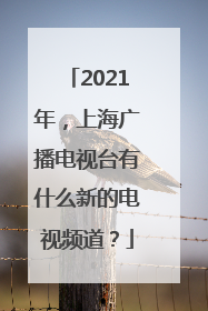2021年，上海广播电视台有什么新的电视频道？