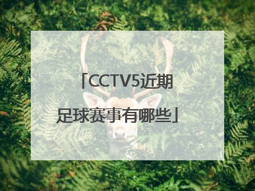 CCTV5近期足球赛事有哪些